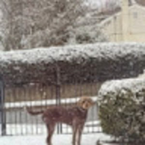 Meet your Posher, Russ